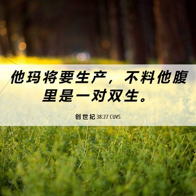 Picture 06 - 创 世 纪 38:27 CUVS - 他 玛 将 要 生 产 ， 不 料 他 腹 里 - Bible Verse Picture