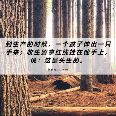 Picture 06 - 创 世 纪 38:28 CUVS - 到 生 产 的 时 候 ， 一 个 孩 子 伸 - Bible Verse Picture