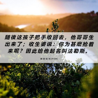 Picture 06 - 创 世 纪 38:29 CUVS - 随 後 这 孩 子 把 手 收 回 去 ， 他 - Bible Verse Picture