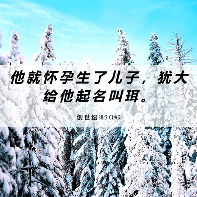 Picture 06 - 创 世 纪 38:3 CUVS - 他 就 怀 孕 生 了 儿 子 ， 犹 大 给 - Bible Verse Picture