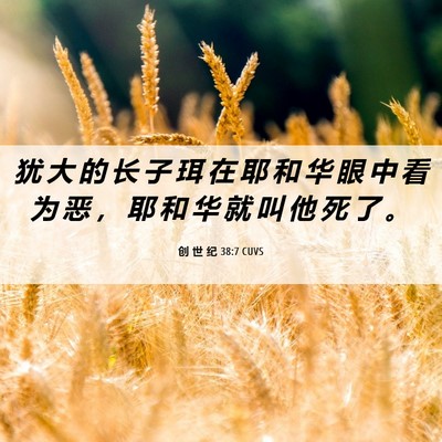 Picture 06 - 创 世 纪 38:7 CUVS - 犹 大 的 长 子 珥 在 耶 和 华 眼 中 - Bible Verse Picture