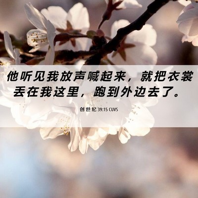 Picture 06 - 创 世 纪 39:15 CUVS - 他 听 见 我 放 声 喊 起 来 ， 就 把 - Bible Verse Picture
