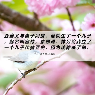 Picture 06 - 创 世 纪 4:25 CUVS - 亚 当 又 与 妻 子 同 房 ， 他 就 生 - Bible Verse Picture