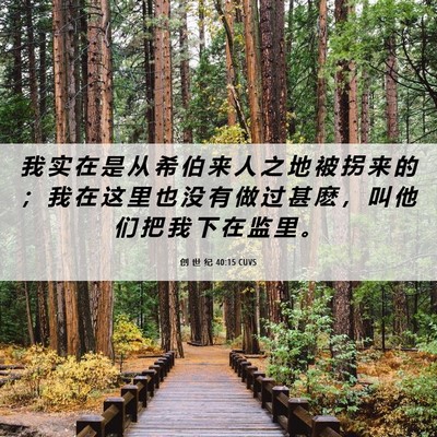 Picture 06 - 创 世 纪 40:15 CUVS - 我 实 在 是 从 希 伯 来 人 之 地 被 - Bible Verse Picture