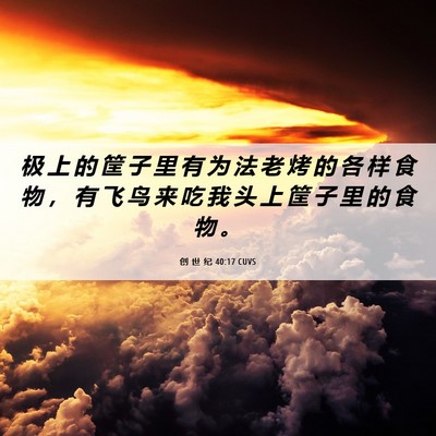 Picture 06 - 创 世 纪 40:17 CUVS - 极 上 的 筐 子 里 有 为 法 老 烤 的 - Bible Verse Picture