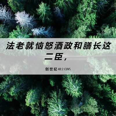 Picture 06 - 创 世 纪 40:2 CUVS - 法 老 就 恼 怒 酒 政 和 膳 长 这 二 - Bible Verse Picture