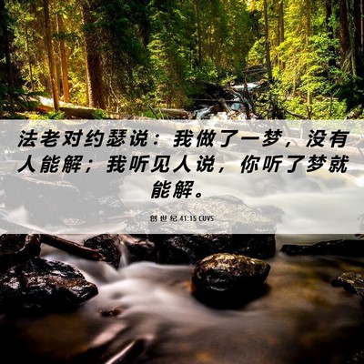 Picture 06 - 创 世 纪 41:15 CUVS - 法 老 对 约 瑟 说 ： 我 做 了 一 梦 - Bible Verse Picture