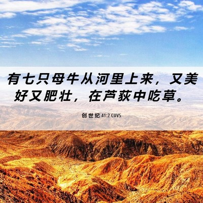 Picture 06 - 创 世 纪 41:2 CUVS - 有 七 只 母 牛 从 河 里 上 来 ， 又 - Bible Verse Picture
