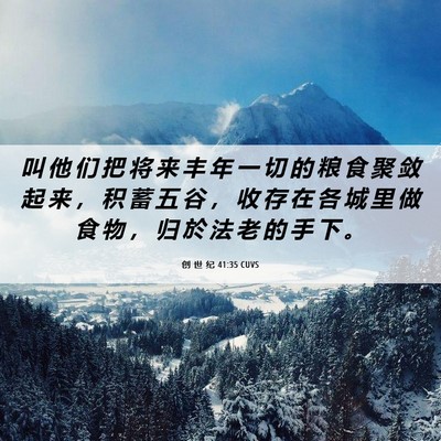 Picture 06 - 创 世 纪 41:35 CUVS - 叫 他 们 把 将 来 丰 年 一 切 的 粮 - Bible Verse Picture