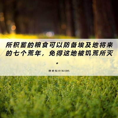 Picture 06 - 创 世 纪 41:36 CUVS - 所 积 蓄 的 粮 食 可 以 防 备 埃 及 - Bible Verse Picture