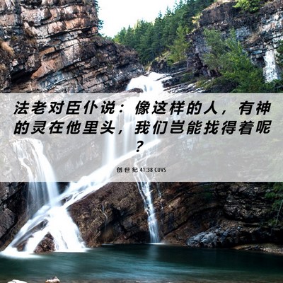 Picture 06 - 创 世 纪 41:38 CUVS - 法 老 对 臣 仆 说 ： 像 这 样 的 人 - Bible Verse Picture