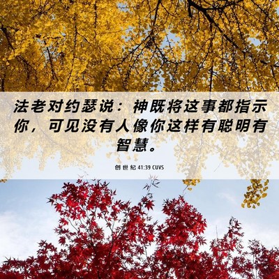 Picture 06 - 创 世 纪 41:39 CUVS - 法 老 对 约 瑟 说 ： 神 既 将 这 事 - Bible Verse Picture