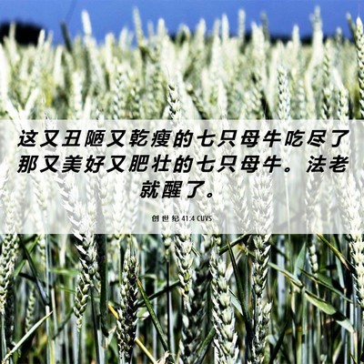 Picture 06 - 创 世 纪 41:4 CUVS - 这 又 丑 陋 又 乾 瘦 的 七 只 母 牛 - Bible Verse Picture