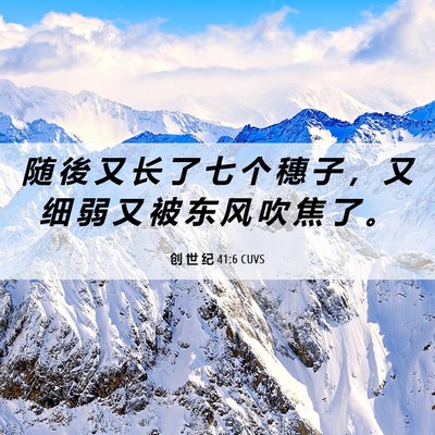 Picture 06 - 创 世 纪 41:6 CUVS - 随 後 又 长 了 七 个 穗 子 ， 又 细 - Bible Verse Picture