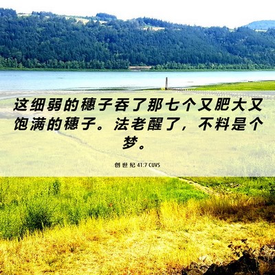Picture 06 - 创 世 纪 41:7 CUVS - 这 细 弱 的 穗 子 吞 了 那 七 个 又 - Bible Verse Picture