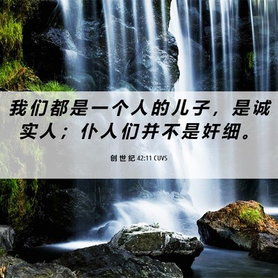 Picture 06 - 创 世 纪 42:11 CUVS - 我 们 都 是 一 个 人 的 儿 子 ， 是 - Bible Verse Picture