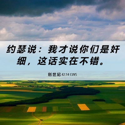 Picture 06 - 创 世 纪 42:14 CUVS - 约 瑟 说 ： 我 才 说 你 们 是 奸 细 - Bible Verse Picture