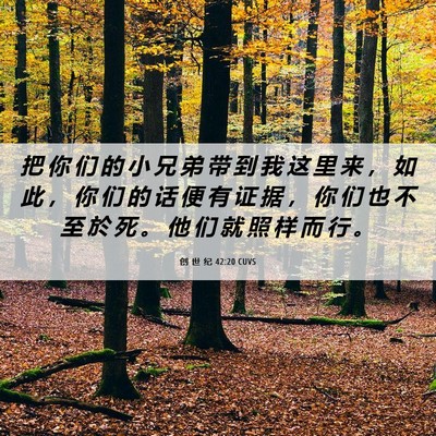 Picture 06 - 创 世 纪 42:20 CUVS - 把 你 们 的 小 兄 弟 带 到 我 这 里 - Bible Verse Picture