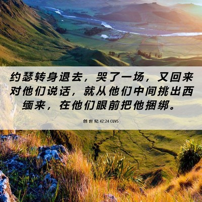 Picture 06 - 创 世 纪 42:24 CUVS - 约 瑟 转 身 退 去 ， 哭 了 一 场 ， - Bible Verse Picture