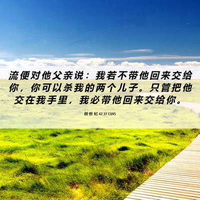 Picture 06 - 创 世 纪 42:37 CUVS - 流 便 对 他 父 亲 说 ： 我 若 不 带 - Bible Verse Picture