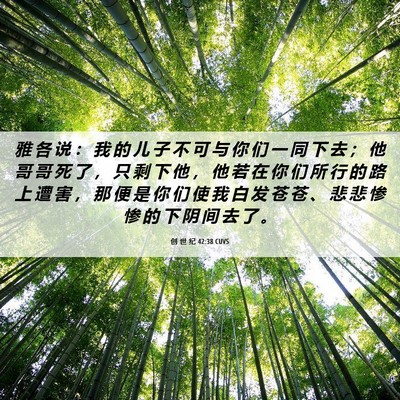 Picture 06 - 创 世 纪 42:38 CUVS - 雅 各 说 ： 我 的 儿 子 不 可 与 你 - Bible Verse Picture