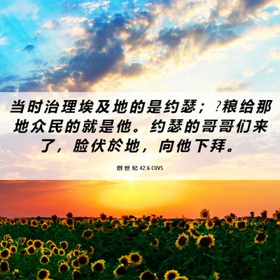 Picture 06 - 创 世 纪 42:6 CUVS - 当 时 治 理 埃 及 地 的 是 约 瑟 ； ? - Bible Verse Picture