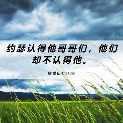 Picture 06 - 创 世 纪 42:8 CUVS - 约 瑟 认 得 他 哥 哥 们 ， 他 们 却 - Bible Verse Picture