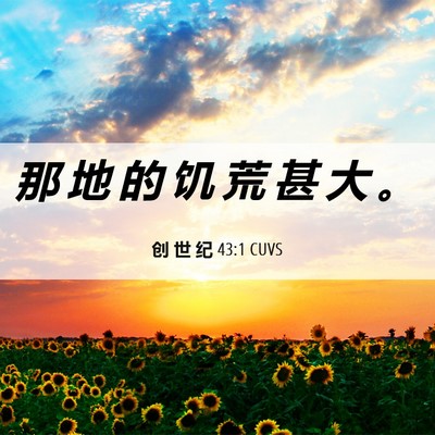 Picture 06 - 创 世 纪 43:1 CUVS - 那 地 的 饥 荒 甚 大 - Bible Verse Picture