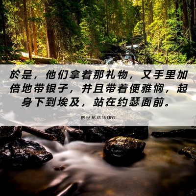 Picture 06 - 创 世 纪 43:15 CUVS - 於 是 ， 他 们 拿 着 那 礼 物 ， 又 - Bible Verse Picture