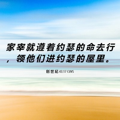 Picture 06 - 创 世 纪 43:17 CUVS - 家 宰 就 遵 着 约 瑟 的 命 去 行 ， - Bible Verse Picture