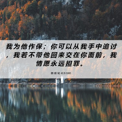 Picture 06 - 创 世 纪 43:9 CUVS - 我 为 他 作 保 ； 你 可 以 从 我 手 - Bible Verse Picture