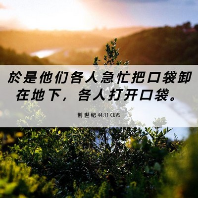 Picture 06 - 创 世 纪 44:11 CUVS - 於 是 他 们 各 人 急 忙 把 口 袋 卸 - Bible Verse Picture