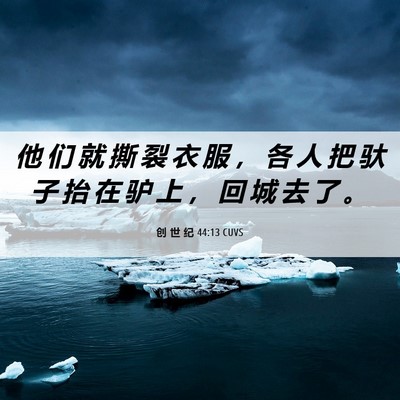 Picture 06 - 创 世 纪 44:13 CUVS - 他 们 就 撕 裂 衣 服 ， 各 人 把 驮 - Bible Verse Picture