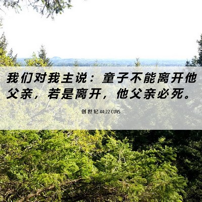 Picture 06 - 创 世 纪 44:22 CUVS - 我 们 对 我 主 说 ： 童 子 不 能 离 - Bible Verse Picture