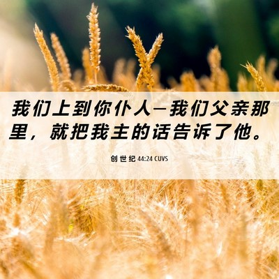 Picture 06 - 创 世 纪 44:24 CUVS - 我 们 上 到 你 仆 人 ─ 我 们 父 亲 - Bible Verse Picture