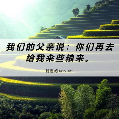 Picture 06 - 创 世 纪 44:25 CUVS - 我 们 的 父 亲 说 ： 你 们 再 去 给 - Bible Verse Picture