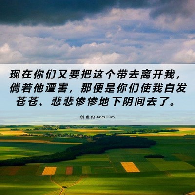 Picture 06 - 创 世 纪 44:29 CUVS - 现 在 你 们 又 要 把 这 个 带 去 离 - Bible Verse Picture
