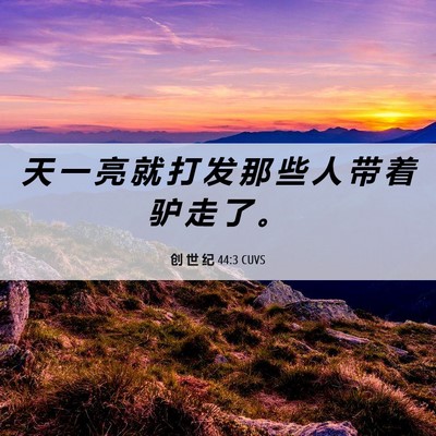 Picture 06 - 创 世 纪 44:3 CUVS - 天 一 亮 就 打 发 那 些 人 带 着 驴 - Bible Verse Picture