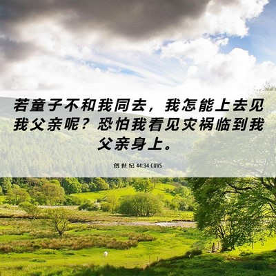 Picture 06 - 创 世 纪 44:34 CUVS - 若 童 子 不 和 我 同 去 ， 我 怎 能 - Bible Verse Picture