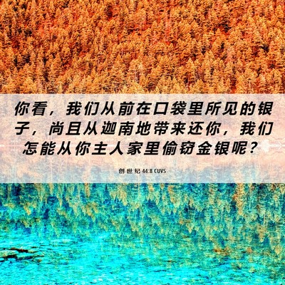Picture 06 - 创 世 纪 44:8 CUVS - 你 看 ， 我 们 从 前 在 口 袋 里 所 - Bible Verse Picture