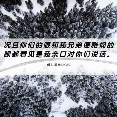 Picture 06 - 创 世 纪 45:12 CUVS - 况 且 你 们 的 眼 和 我 兄 弟 便 雅 - Bible Verse Picture