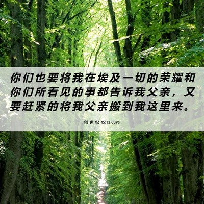 Picture 06 - 创 世 纪 45:13 CUVS - 你 们 也 要 将 我 在 埃 及 一 切 的 - Bible Verse Picture