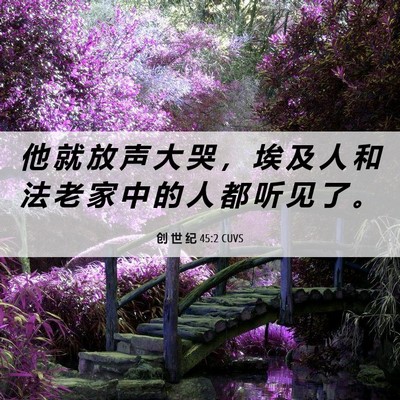 Picture 06 - 创 世 纪 45:2 CUVS - 他 就 放 声 大 哭 ， 埃 及 人 和 法 - Bible Verse Picture