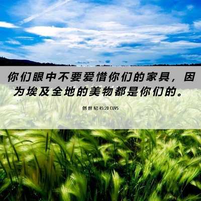 Picture 06 - 创 世 纪 45:20 CUVS - 你 们 眼 中 不 要 爱 惜 你 们 的 家 - Bible Verse Picture