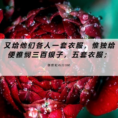 Picture 06 - 创 世 纪 45:22 CUVS - 又 给 他 们 各 人 一 套 衣 服 ， 惟 - Bible Verse Picture