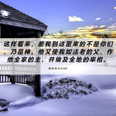 Picture 06 - 创 世 纪 45:8 CUVS - 这 样 看 来 ， 差 我 到 这 里 来 的 - Bible Verse Picture