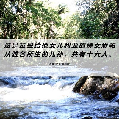 Picture 06 - 创 世 纪 46:18 CUVS - 这 是 拉 班 给 他 女 儿 利 亚 的 婢 - Bible Verse Picture