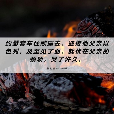 Picture 06 - 创 世 纪 46:29 CUVS - 约 瑟 套 车 往 歌 珊 去 ， 迎 接 他 - Bible Verse Picture