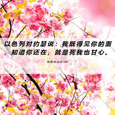Picture 06 - 创 世 纪 46:30 CUVS - 以 色 列 对 约 瑟 说 ： 我 既 得 见 - Bible Verse Picture