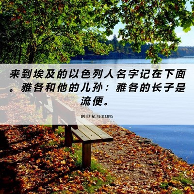 Picture 06 - 创 世 纪 46:8 CUVS - 来 到 埃 及 的 以 色 列 人 名 字 记 - Bible Verse Picture